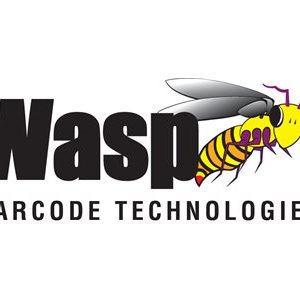 Wasp  Software Installation Service via Web Professional installation 633808391577