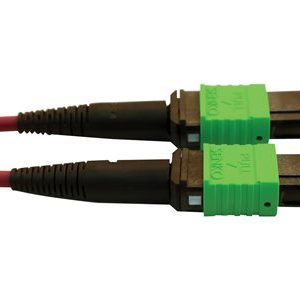 Tripp Lite   400G MTP/MPO Multimode OM4 Plenum-Rated Fiber Cable, MTP/MPO-APC to MTP/MPO-APC (F/F), Magenta, 1M network cable 1 m black, m… N846D-01M-16AMG