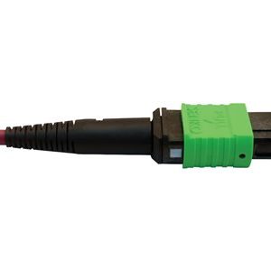 Tripp Lite   400G MTP/MPO Multimode OM4 Plenum-Rated Fiber Cable, 16F MTP/MPO-APC to 24F MTP/MPO-UPC, Magenta, 1M network cable 1 m black,… N846D-01M-16CMG