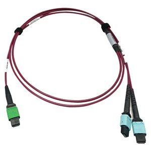 Tripp Lite   400G MTP/MPO Multimode OM4 Plenum-Rated Fiber Cable, 16F MTP/MPO-APC to (x2) 12F MTP/MPO-UPC, Magenta, 1M network cable 1 m b… N846D-01M-16DMG