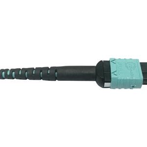 Tripp Lite   400G MTP/MPO Multimode OM4 Plenum-Rated Fiber Cable, 24F MTP/MPO-PC to (x2) 12F MTP/MPO-PC, Aqua, 1M network cable 1 m black,… N846D-01M-24BAQ