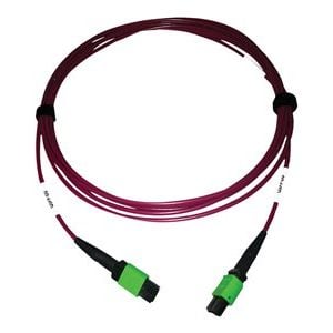 Tripp Lite   400G MTP/MPO Multimode OM4 Plenum-Rated Fiber Cable, MTP/MPO-APC to MTP/MPO-APC (F/F), Magenta, 3M network cable 3 m black, m… N846D-03M-16AMG
