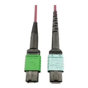 Tripp Lite   400G MTP/MPO Multimode OM4 Plenum-Rated Fiber Cable, 16F MTP/MPO-APC to 24F MTP/MPO-UPC, Magenta, 3M network cable 3 m black,… N846D-03M-16CMG