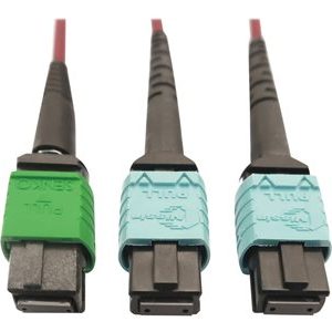 Tripp Lite   400G MTP/MPO Multimode OM4 Plenum-Rated Fiber Cable, 16F MTP/MPO-APC to (x2) 12F MTP/MPO-UPC, Magenta, 3M network cable 3 m b… N846D-03M-16DMG