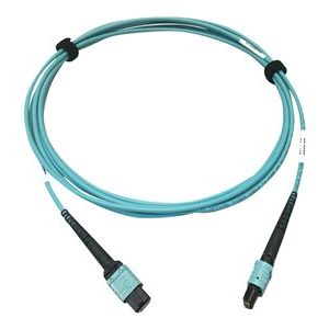 Tripp Lite   400G MTP/MPO Multimode OM4 Plenum-Rated Fiber Cable, 24F MTP/MPO-PC to 24F MTP/MPO-PC, Aqua, 3M network cable 3 m black, aqua N846D-03M-24AAQ