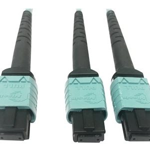 Tripp Lite   400G MTP/MPO Multimode OM4 Plenum-Rated Fiber Cable, 24F MTP/MPO-PC to (x2) 12F MTP/MPO-PC, Aqua, 3M network cable 3 m black,… N846D-03M-24BAQ