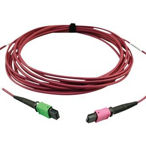 Tripp Lite   400G MTP/MPO Multimode OM4 Plenum-Rated Fiber Cable, MTP/MPO-APC to MTP/MPO-UPC (F/F), Magenta, 5M network cable 5 m black, m… N846D-05M-16BMG