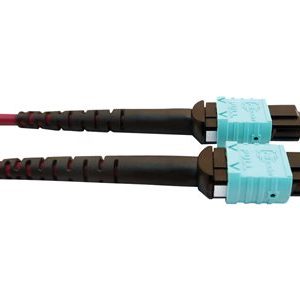 Tripp Lite   400G MTP/MPO Multimode OM4 Plenum-Rated Fiber Cable, 16F MTP/MPO-APC to (x2) 12F MTP/MPO-UPC, Magenta, 5M network cable 3 m b… N846D-05M-16DMG