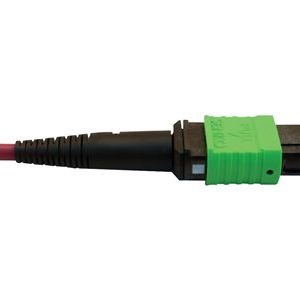 Tripp Lite   400G MTP/MPO Multimode OM4 Plenum-Rated Fiber Breakout Cable, 16F MTP/MPO-APC to (x8) LC Duplex-UPC, Magenta, 5M breakout cab… N846D-05M-16EMG