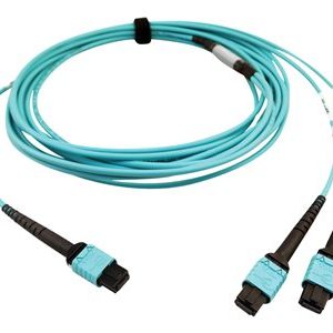 Tripp Lite   400G MTP/MPO Multimode OM4 Plenum-Rated Fiber Cable, 24F MTP/MPO-PC to (x2) 12F MTP/MPO-PC, Aqua, 5M network cable 5 m black,… N846D-05M-24BAQ