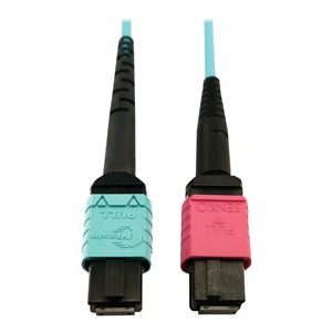 Tripp Lite   400G MTP/MPO Multimode OM4 Plenum-Rated Fiber Cable, 24F MTP/MPO-UPC to 16F MTP/MPO-UPC, Aqua, 5M network cable 5 m black, ma… N846D-05M-24DAQ