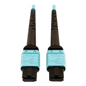 Tripp Lite   400G MTP/MPO Multimode OM4 Plenum-Rated Fiber Cable, 24F MTP/MPO-PC to 24F MTP/MPO-PC, Aqua, 10M network cable 10 m black, aq… N846D-10M-24AAQ