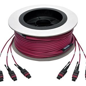 Tripp Lite   MTP/MPO Multimode Base-8 Trunk Cable, 24-Strand, 40/100 GbE, 40/100GBASE-SR4, OM4 Plenum-Rated (3xF/3xF), Push/Pull Tab, Mage… N858-30M-3X8-MG
