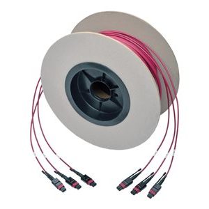 Tripp Lite   24-Fiber MTP MPO OM4 Base-8 MMF Trunk Cable 40/100GbE 3X, 61M network cable 61 m magenta N858-61M-3X8-MG