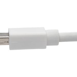 Tripp Lite   10ft Mini DisplayPort 1.2a to DisplayPort Cable Adapter and Video Converter, 4K x 2K/3840 x 2160 (M/F) @ 60 Hz, HDCP 2.2, 10… P139-010-DP-V2B