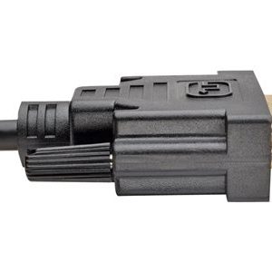 Tripp Lite   DVI-D Single-Link Digital TMDS Monitor Cable (DVI-D to DVI-D M/M), 1920 x 1200 (1080p), 20 ft. DVI cable 20 ft P561-020