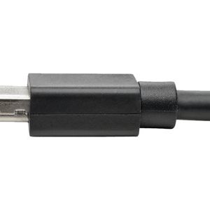 Tripp Lite   Mini DisplayPort Extension Cable, 4K x 2K (3840 x 2160) @ 60 Hz, HDCP 2.2 (M/F), 6 ft DisplayPort extension cable 6 ft P585-006