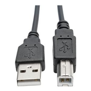 Tripp Lite   6ft Hi-Speed USB 2.0 to USB B Cable Coiled USB A-B M/M 6′ USB cable USB to USB Type B 6 ft U022-006-COIL