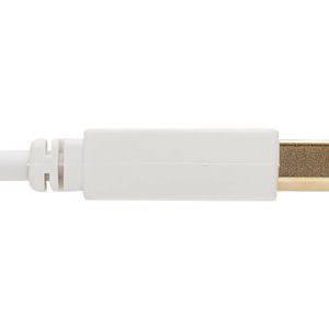 Tripp Lite   Safe-IT USB-A to USB-B Antibacterial Cable (M/M), USB 2.0, White, 10 ft. USB cable USB to USB Type B 10 ft U022AB-010-WH