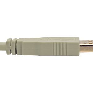 Tripp Lite   6ft USB 2.0 Hi-speed A/A Cable M/M 480 Mbps Beige, USB extension USB extension cable USB to USB 6 ft U024-006-BE
