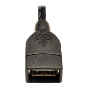 Tripp Lite   USB 2.0 Hi-Speed to Gigabit Ethernet NIC Network Adapter White USB internal to external adapter USB to 4 pin USB 2.0 header 6 in U024-06N-IDC