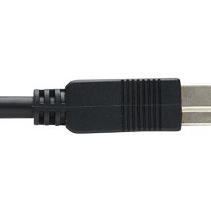 Tripp Lite   USB 3.2 Gen 1 Plenum-Rated Fiber Active Optical Cable (AOC) A/B M/M, Black, 30 m USB cable USB Type A to USB Type B 98 ft U328F-30M