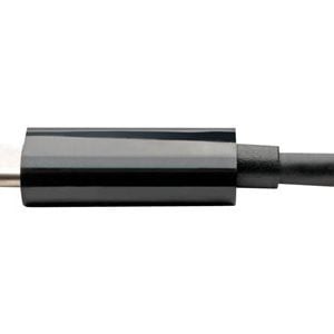 Tripp Lite   USB-C to DVI Adapter w/PD Charging USB 3.1, Thunderbolt 3, 1080p, Black USB Type C to DVI charging / video adapter 6 in U444-06N-DB-C